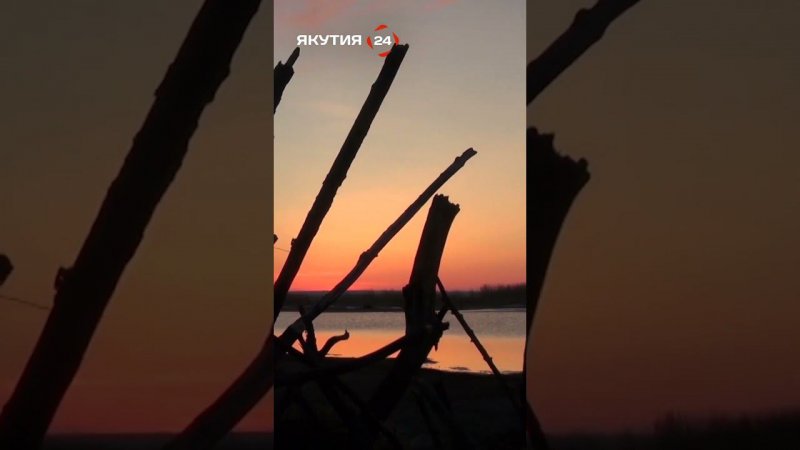 Первый весенний гусь добыт!/The first spring goose has been caught! #якутия #россия #охота #гусь