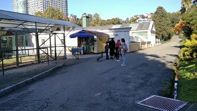 Sochi🇷🇺. Russia🇷🇺. Travel. l Продолжаем наши чудесные путешествия по тропическому миру