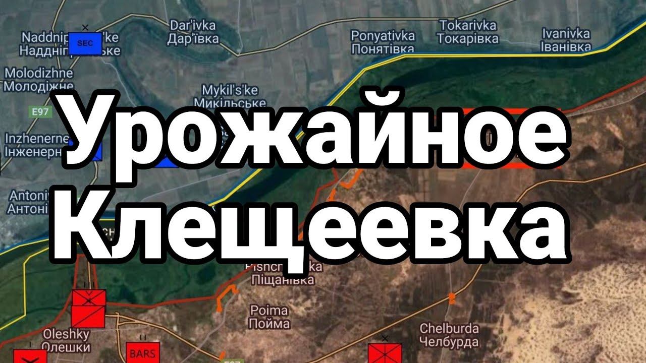 УР0ЖАЙНОЕ КЛЕЩЕЕВКА
