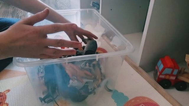 Разбираю фигурки животных. Рассказываю об организации игрушек.