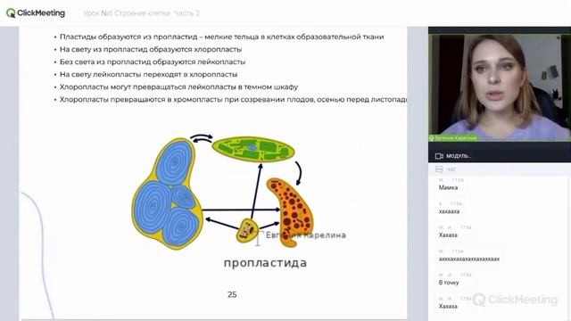 Лейкопласты. Взаимопревращение пластид | Пластиды. Биология ЕГЭ 2023. Бесплатные конспекты ??