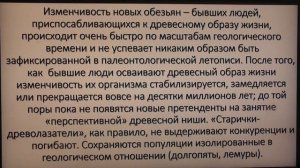 КТО ОТКРЫЛ ЮЖНУЮ АМЕРИКУ 30 МЛН ЛЕТ НАЗАД? А. Белов