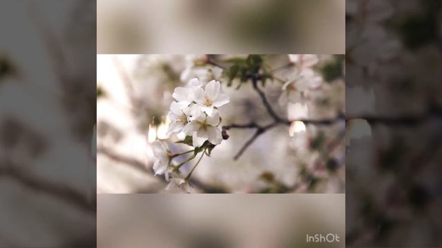 Каковы главные ценности жизни?