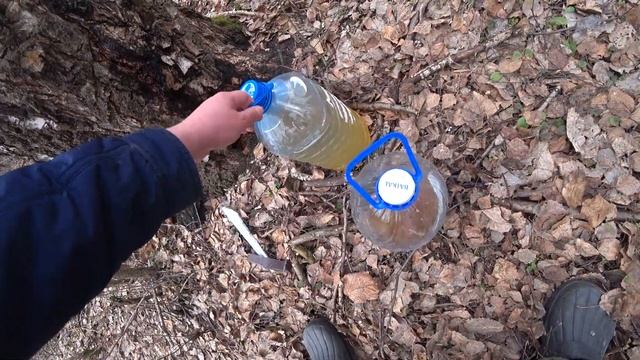 Сбор берёзового сока смотреть онлайн