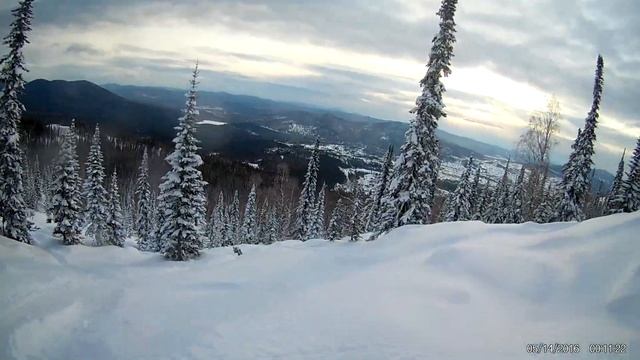 шерегеш.снежный лес