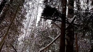 Проверка капканов на куницу и бобра!!!