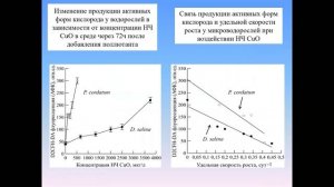 Секция 3. Экологическая микробиология и альгология