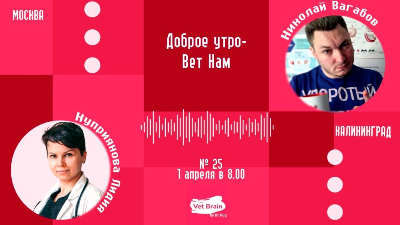 "ВетНам" №25, Лидия Куприянова (01.04.2024)