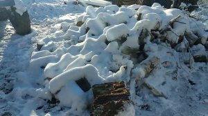 Дровяной день