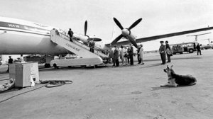 На привязи у взлётной полосы.