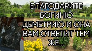 БЛАГОДАРИТЕ БОГИНЮ ДЕМЕТРИЮ И ОНА ВАМ ОТВЕТИТ ТЕМ ЖЕ...