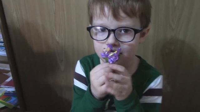 Поделка в детский сад. Данил 2019 год смотреть онлайн