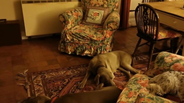 English Cottage Autumn Tour смотреть онлайн