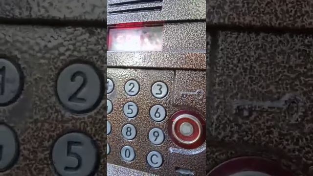 домофон 6 6 6. 2n домофон. домофон 6 6 6. домофон vizit bvd 343r. домофон 6 6 6.