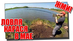 Ловля карася на ложку в мае