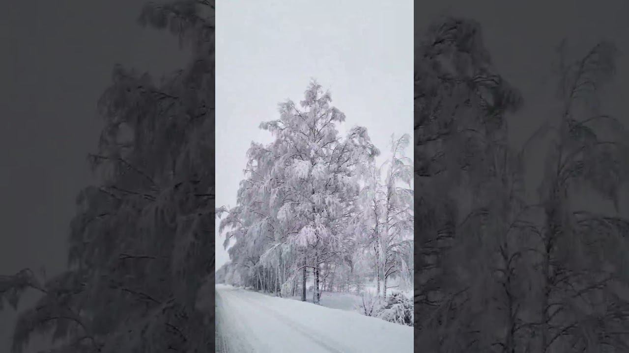 From Russia with love #christmas #heppynewyear2023 #russia #winter смотреть онлайн