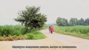 О прогулках на теплоходе в Перми: расписание, маршруты, стоимость билетов