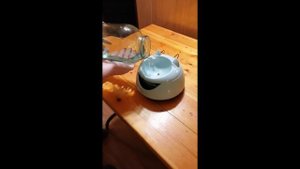 Фонтан поилка для кошек