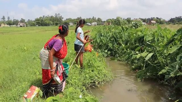 Fishing video || three lady catching big fish with hook in village mud canal water #video #fish смотреть онлайн