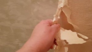 Начала ремонт в прихожей(Ремонт хрущёвки).