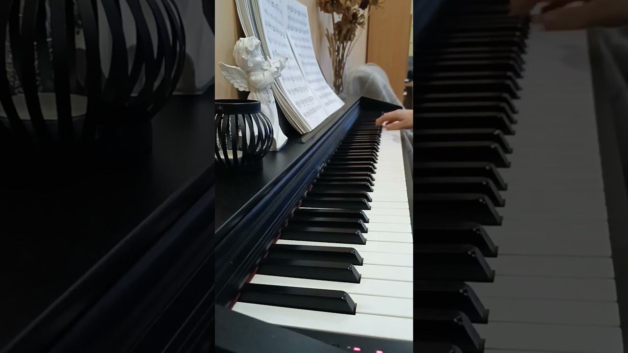 Вариации на тему каприса Николо Паганини/Paganini #pianomusic #piano #классика #фортепиано #music