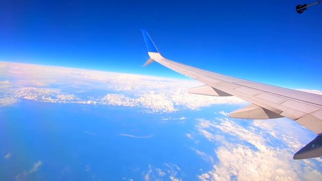 Flying the WORST United Mainline Jet...the B737-800 смотреть онлайн