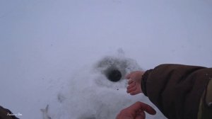 Простая-Народная ЗИМНЯЯ СНАСТЬ на ОКЕ! Зимняя Рыбалка на Оке2022-2023! Ловля Зимой на протяжку!