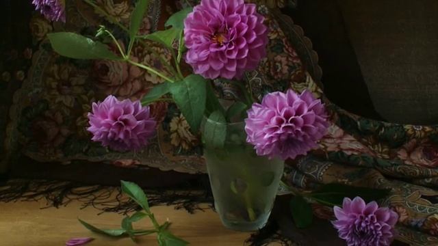 Лиля Степанян До свидания лето смотреть онлайн