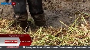 Трофи-рейд за Кубок Калужской области