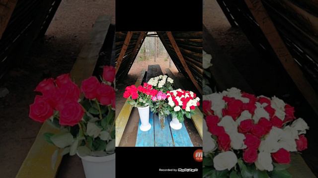 Цель;закрыть всем рты.Влад Бахов. смотреть онлайн