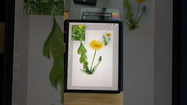 Рисуем символ лета на iPad☀️ смотреть онлайн