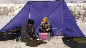 Укрытие от ветра  Пингвин Крыло Комфорт