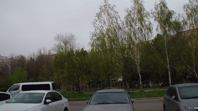 Анапа. 12 апреля. Туман. Сирень зацветает. Большая КРЫСА! смотреть онлайн