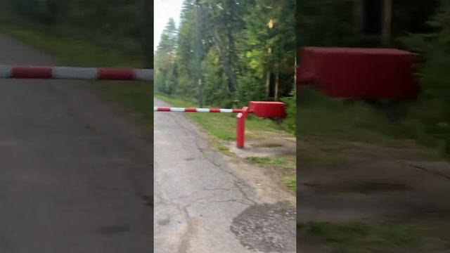 Трёхцветный котёнок, на удачу! смотреть онлайн