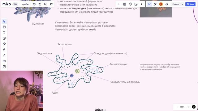 ПРОСТЕЙШИЕ. Кто это такие? АМЕБЫ смотреть онлайн
