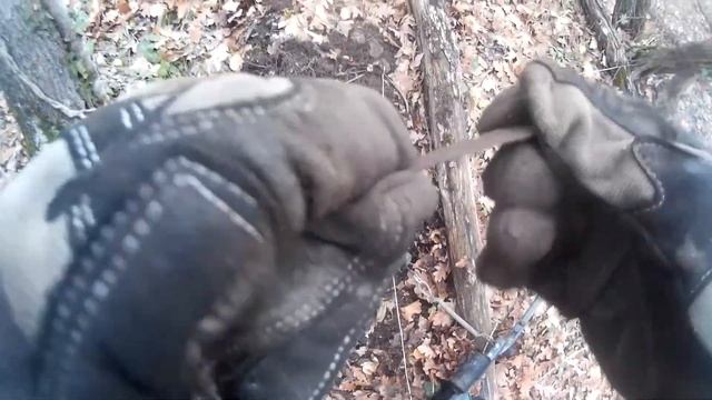 Поиск кладов где-то в лесах Крыма