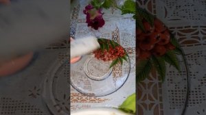 Глина Ундоровская