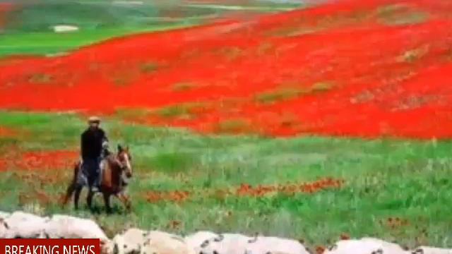 Кто жил и вырос в Казахстане. смотреть онлайн