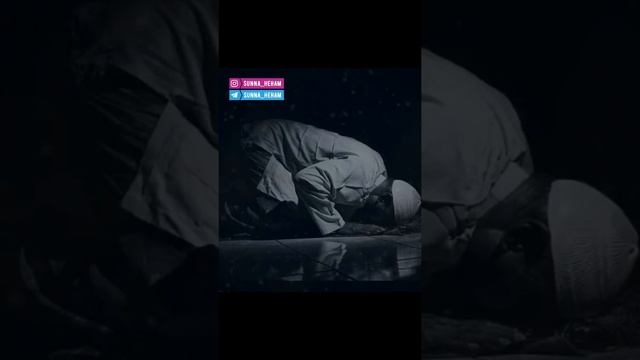 ТАХ1АДЖУД ЛАМАЗ МУХА ДО? КОРОТКО И ЯСНО!!! смотреть онлайн