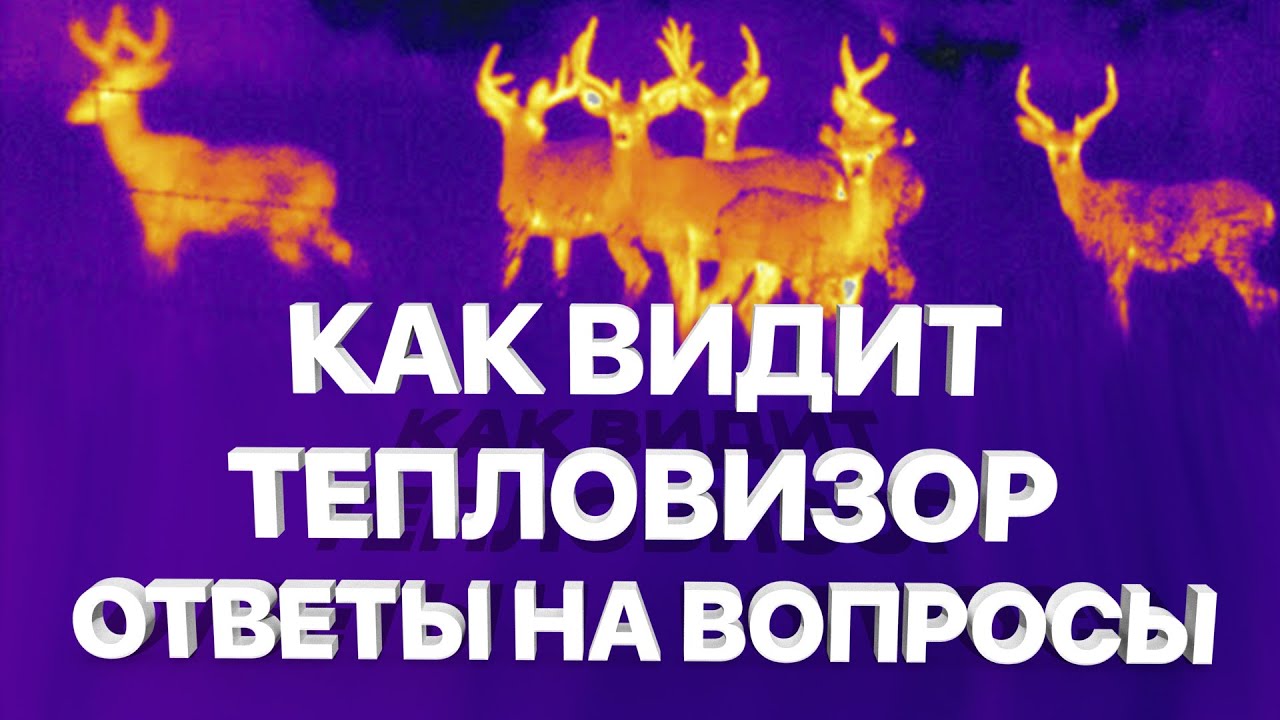 Тестирование тепловизора и ответы на вопросы пользователей iRay!.mp4 смотреть онлайн