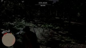 Red Dead Redemption 2 Hunting for a pefect panther pelt