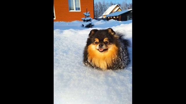 Любимый малыш♥️