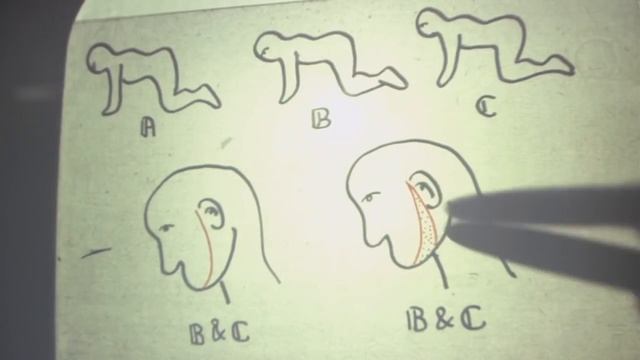 Человеческая многоножка рисунок