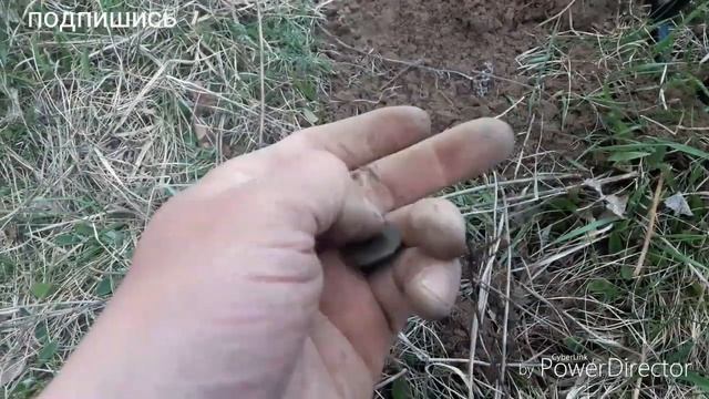 Царская ходячка в кротовой норе смотреть онлайн