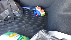 Обзор Skoda Rapid 1.6 2018