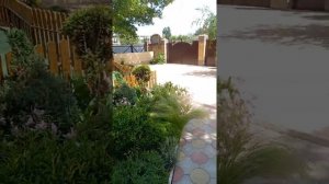 Отель Морские Рифы Анапа