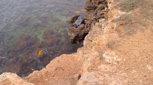 С крутого обрыва автомобиль упал в море в Севастополе