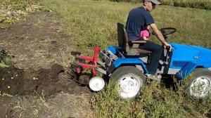 Минитрактор переломка 4×4 . Копка картофеля.