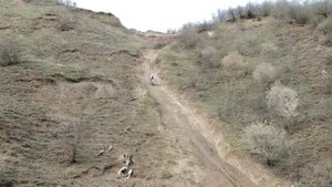 Саясан 2020 г. 😎😎😎