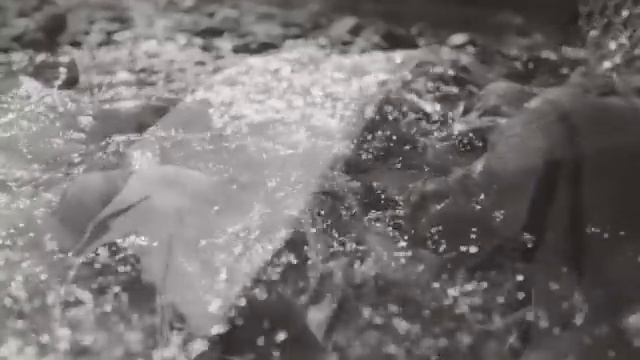 History of the Crusades: All Facts You Need To Know смотреть онлайн